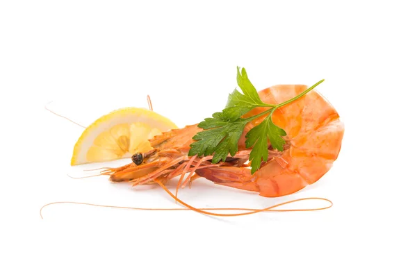 煮熟的虾 — 图库照片