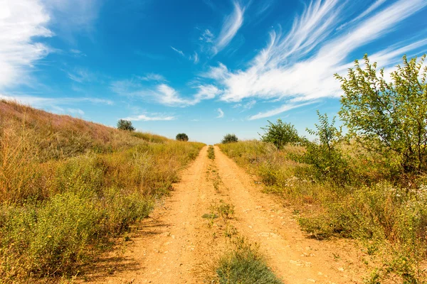 Güneşli bir günde güzel bir manzara