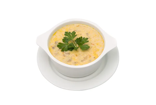 Mushroom soup in the plate — Stock Photo, Image