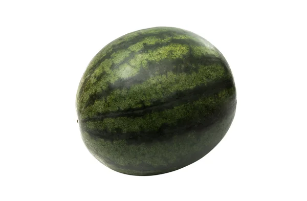 Pertanian buah semangka — Stok Foto