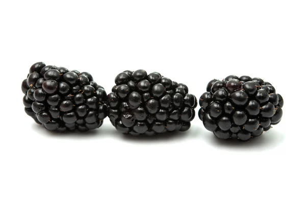 Blackberries fruit object — Stock Photo, Image