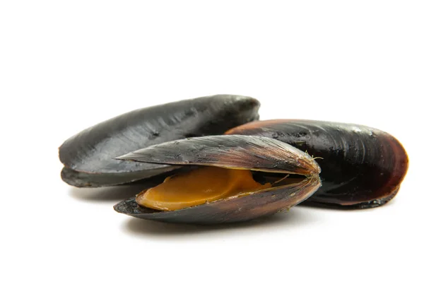 Mussels cooked isolated — Stock Photo, Image