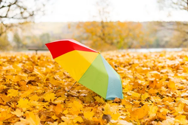 Kleurrijke paraplu liggend op gele blaadjes — Stockfoto