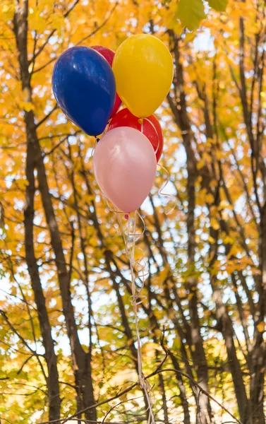 Воздушные шары на фоне осенних листьев — стоковое фото