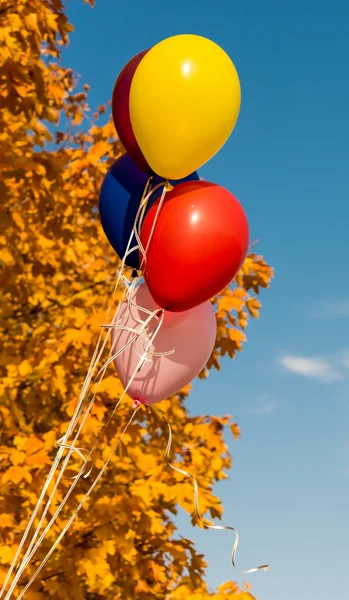 Balloons helium flying — Stock Photo, Image