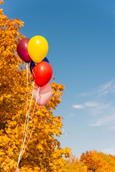 Ballonnen helium vliegen — Stockfoto