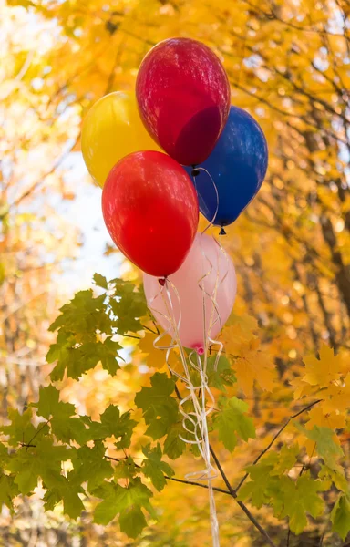 Воздушные шары на фоне осенних листьев — стоковое фото