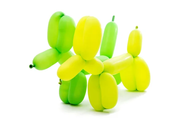 Dogs of balloons — Stock Photo, Image