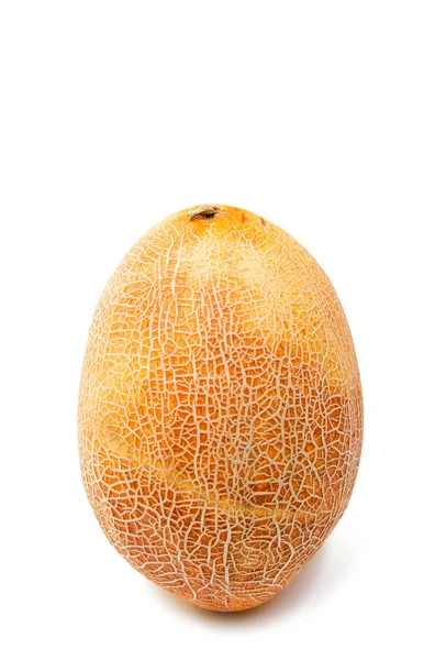 Mogen melon gul — Stockfoto