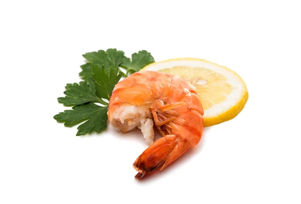 Tiger shrimp. Prawn isolated — Stock Photo, Image
