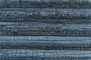 kömürleşmiş ahşap arka plan