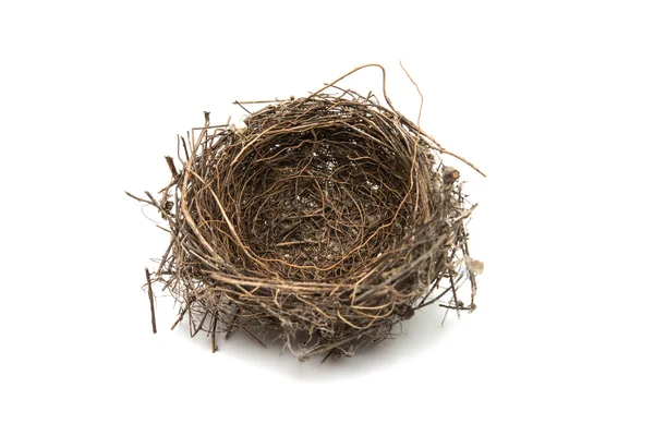Ptačí hnízdo, samostatný — Stock fotografie