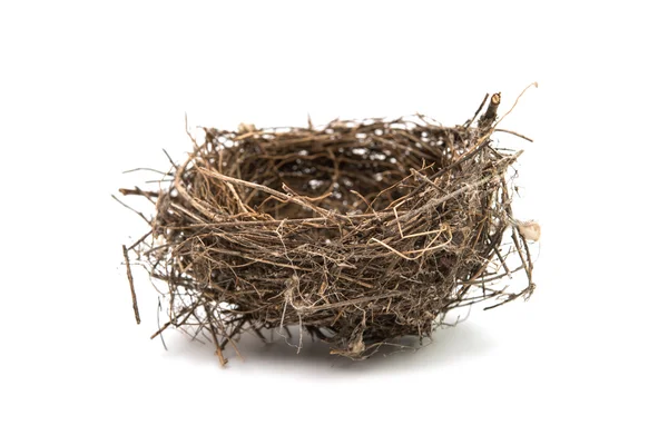 Bird's nest isolated — Stock Photo, Image