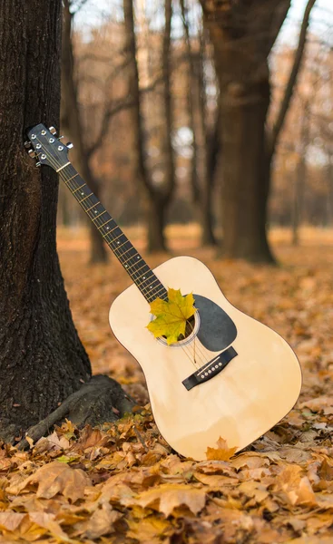 Guitarra en la naturaleza — Foto de Stock