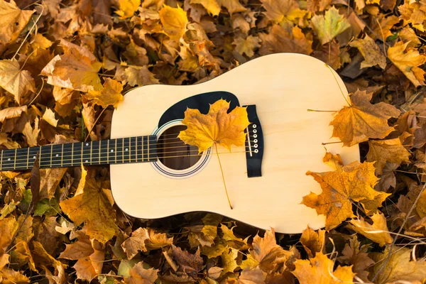 Guitarra en la naturaleza — Foto de Stock