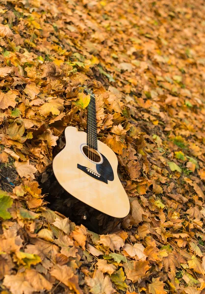 Guitarra en la naturaleza — Foto de Stock