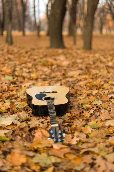Guitar in nature — Stock Photo, Image