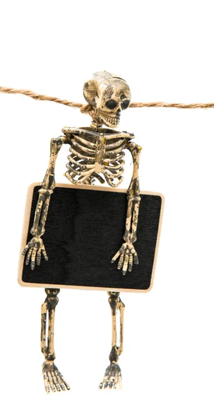 Een skelet met een teken — Stockfoto
