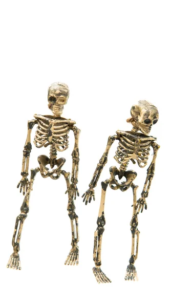 Esqueleto aislado halloween — Foto de Stock