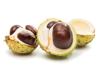 kestane somun nesneleri 