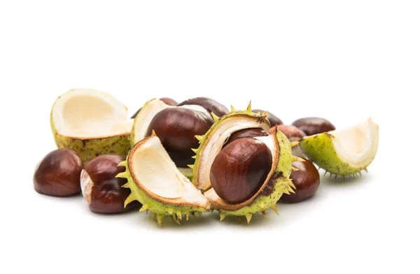 Chestnuts nut objects — Stock Photo, Image