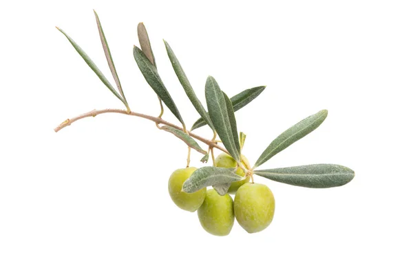 Olives Fraîches Avec Des Feuilles Isolées Sur Fond Blanc — Photo