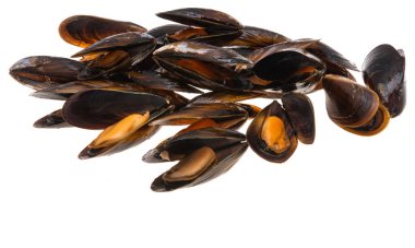 Beyaz arkaplanda yalıtılmış midyeler