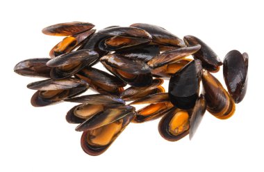 Beyaz arkaplanda yalıtılmış midyeler