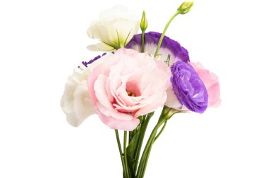 Beyaz arkaplanda izole edilmiş östoma çiçekleri