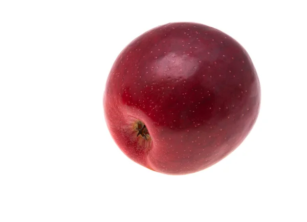 Roter Apfel Isoliert Auf Weißem Hintergrund — Stockfoto