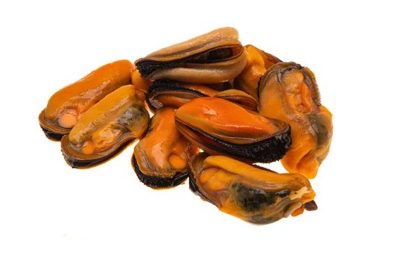 Mussels Isolated White Background — Stock Photo, Image