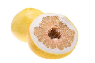 Pamela beyaz arkaplanda izole edildi