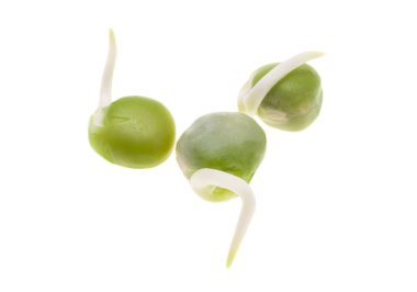 Beyaz arkaplanda filizlenmiş bezelyeler