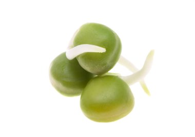 Beyaz arkaplanda filizlenmiş bezelyeler