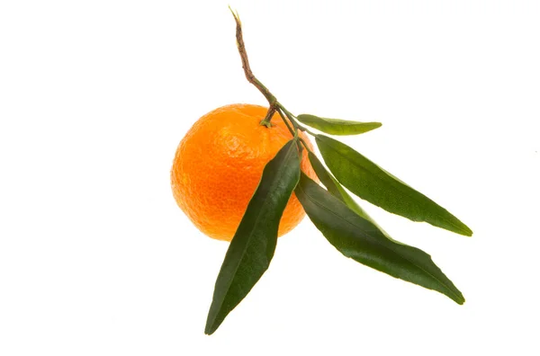 Mandarin Fehér Alapon Izolált Levelekkel — Stock Fotó