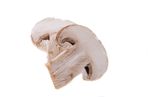 Funghi Champignon Isolati Sfondo Bianco — Foto Stock