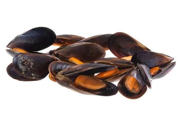 Cozze Isolate Sfondo Bianco — Foto Stock