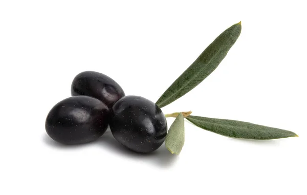 Olives Isolées Sur Fond Blanc — Photo