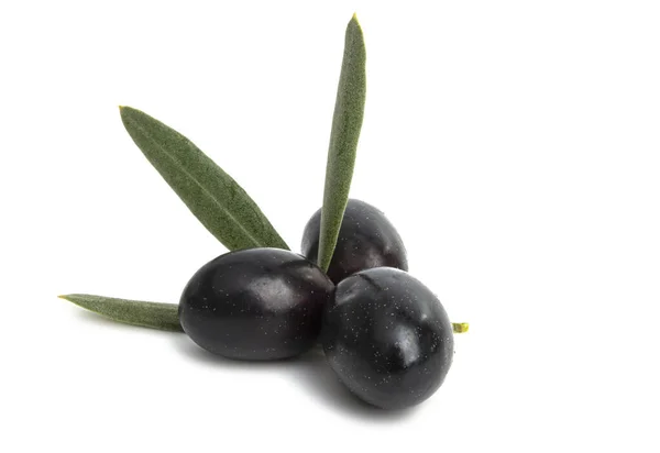 Oliven Isoliert Auf Weißem Hintergrund — Stockfoto
