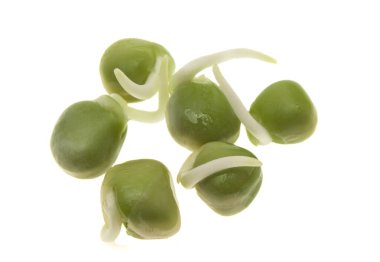 Beyaz arkaplanda filizlenmiş bezelyeler