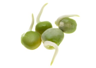 Beyaz arkaplanda filizlenmiş bezelyeler