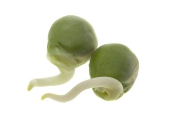 Beyaz arkaplanda filizlenmiş bezelyeler