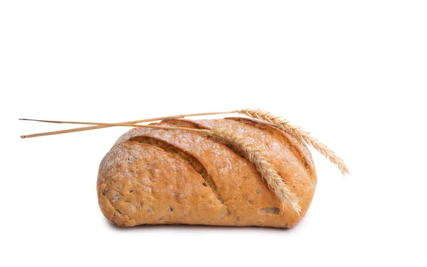 Ciabatta Geïsoleerd Witte Achtergrond — Stockfoto