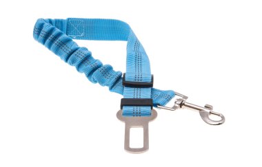 Köpek koşumları beyaz arkaplanda izole edildi