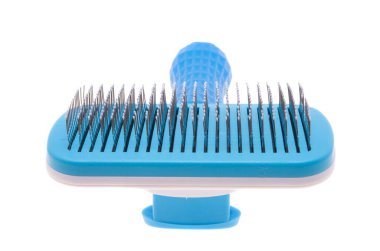 Beyaz arka planda izole edilmiş hayvanlar için kaygan