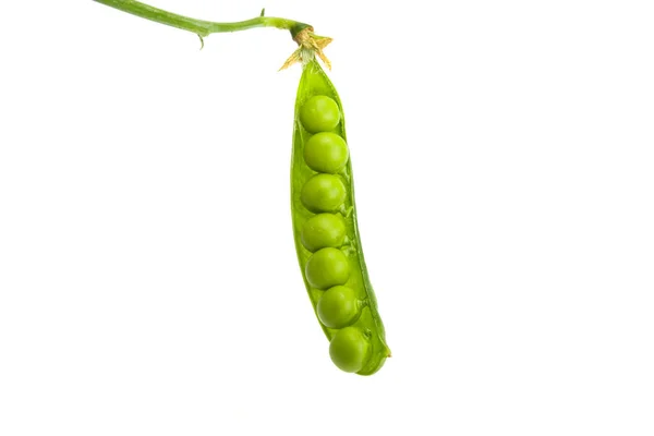 Groene Erwten Geïsoleerd Witte Achtergrond — Stockfoto