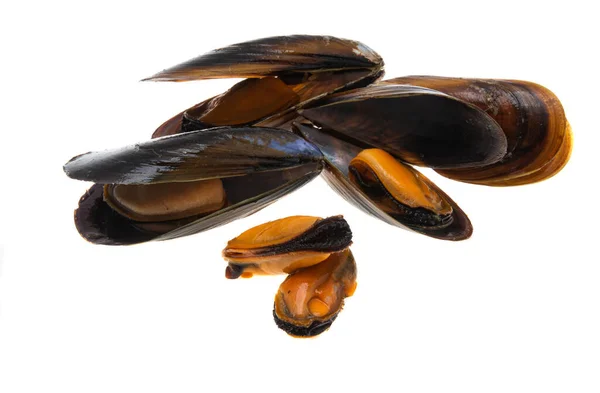 Mussels Isolated White Background — Stock Photo, Image