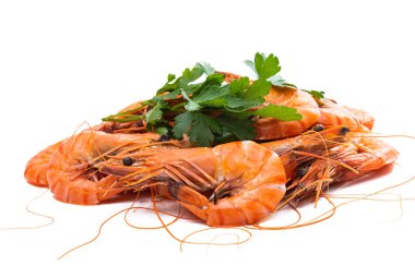 Kaynamış karides beyaz arkaplanda izole edildi 