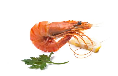 Kaynamış karides beyaz arkaplanda izole edildi 
