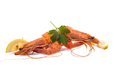 Kaynamış karides beyaz arkaplanda izole edildi 